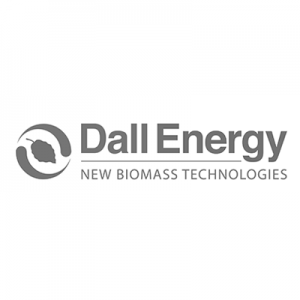 Dall_energy_web_bw